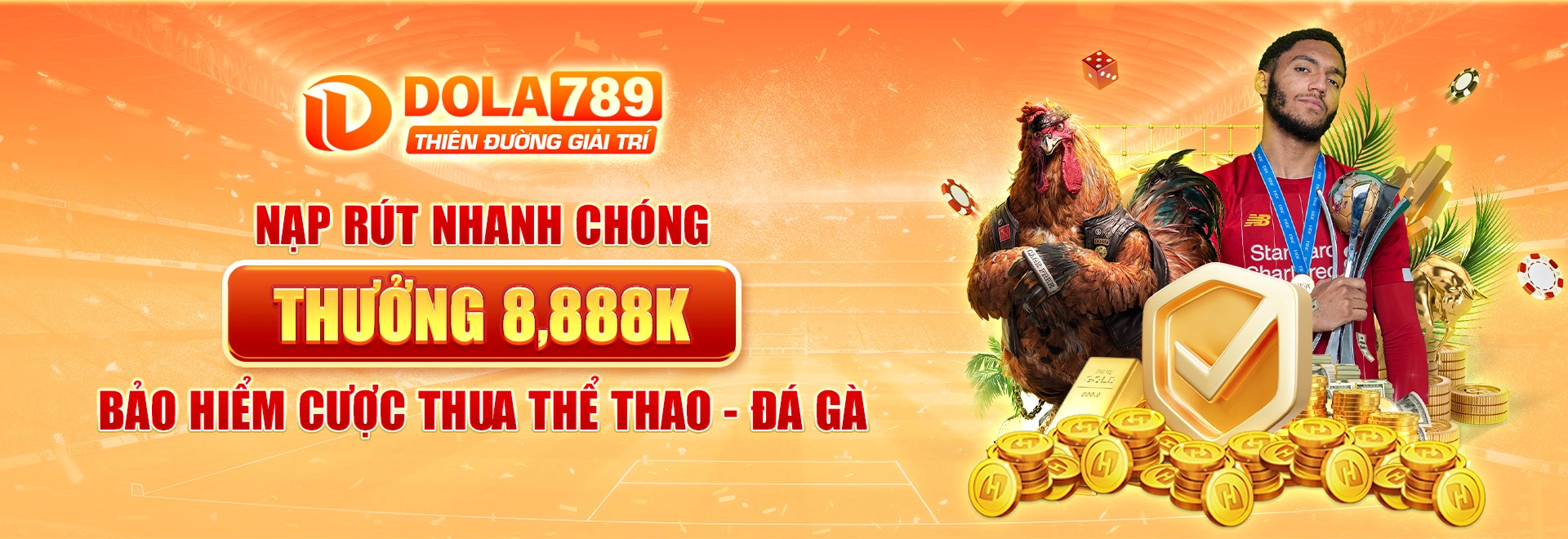 banner thể thao dola789
