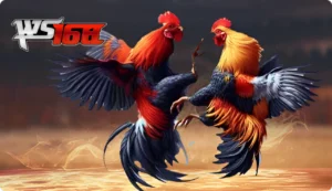 sảnh ws tại dola789