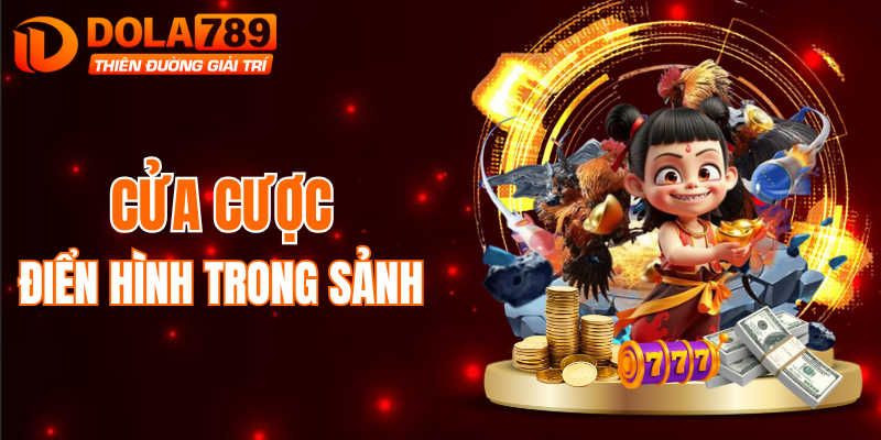 Lựa chọn cược hấp dẫn trong sảnh đá gà DOLA789